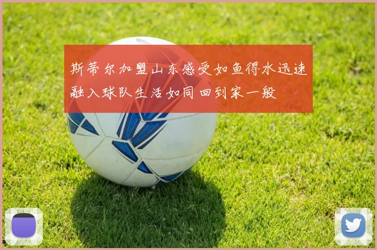 斯蒂尔加盟山东感受如鱼得水迅速融入球队生活如同回到家一般